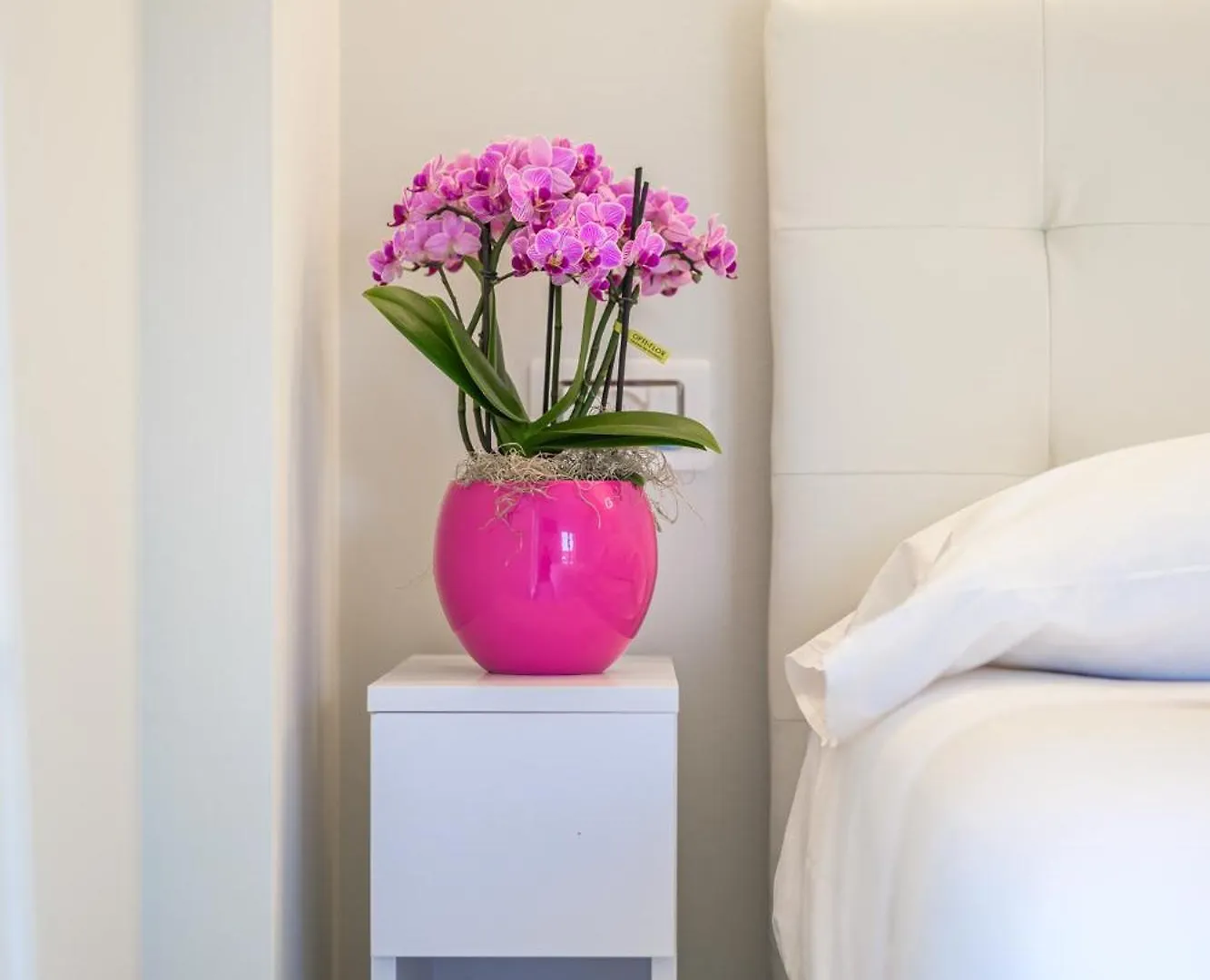 Apartment Villa Turrini Modena