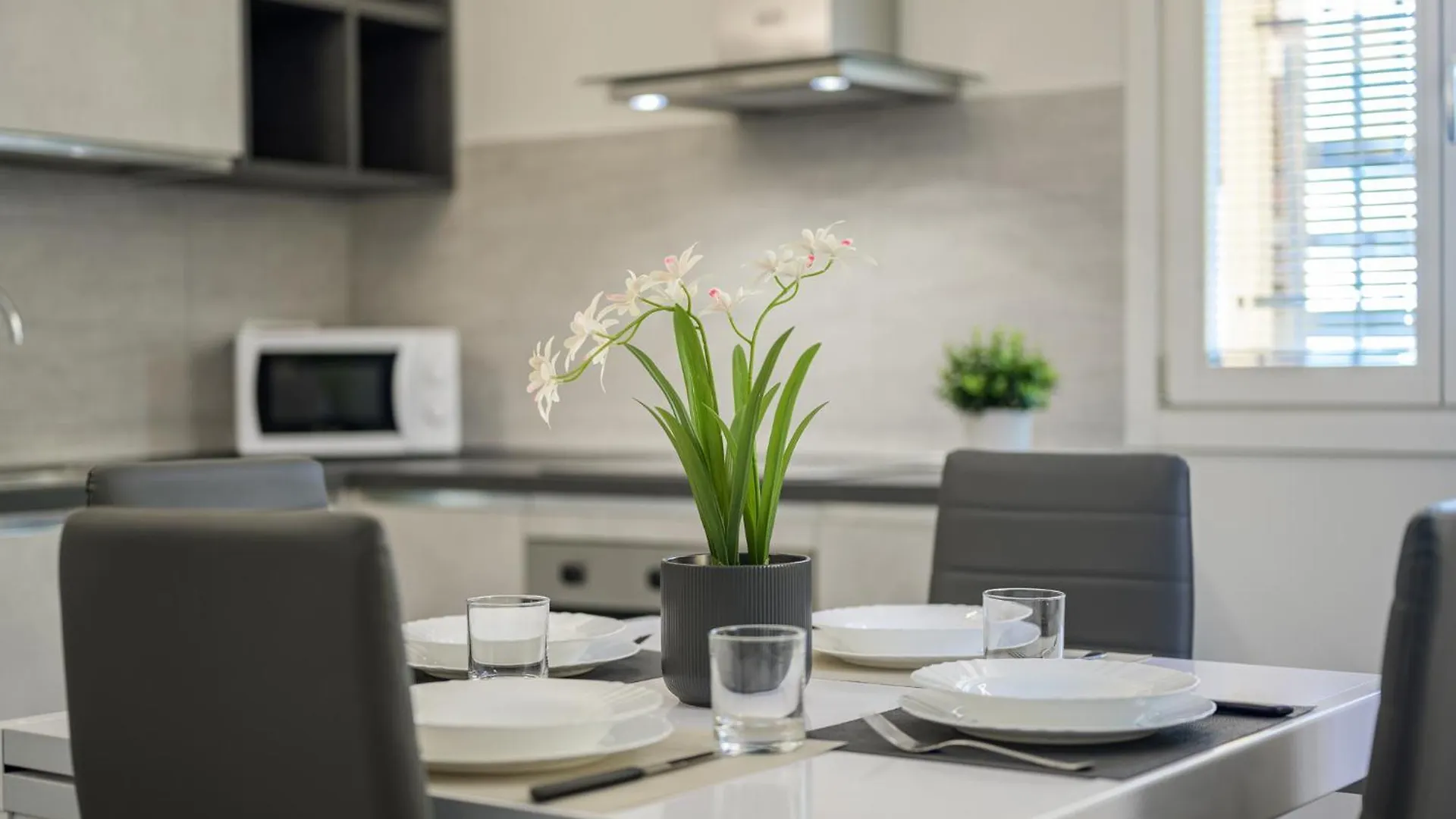 Apartment Villa Turrini Modena Italy
